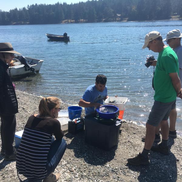 Four people on a beach watching a man process a sediment sample through a vortex 