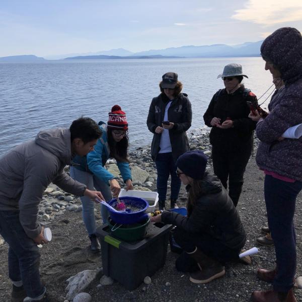 Five people on a beach watching a woman process a sample through a vortex