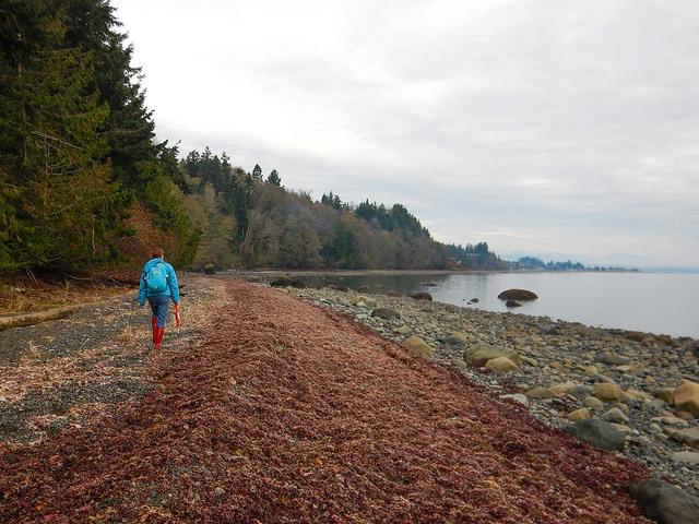 VIU Deep Bay