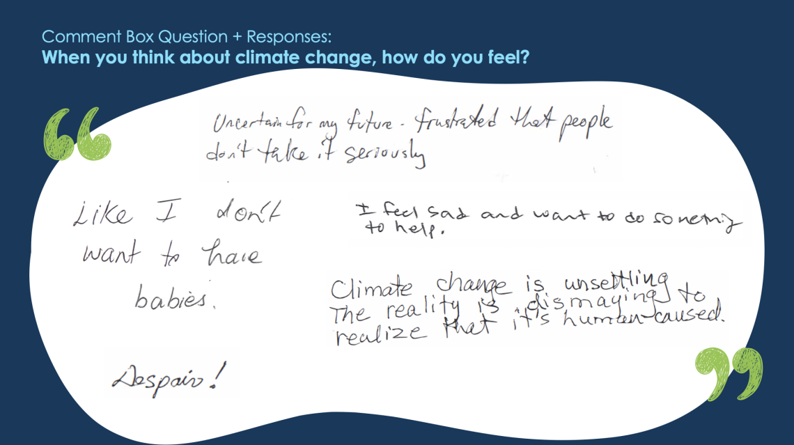 Quotes from comment box responses