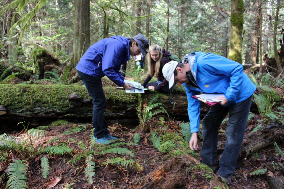 2017 MABR BioBlitz