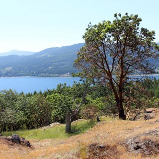 Notch Hill 3