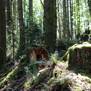 Notch Hill 8