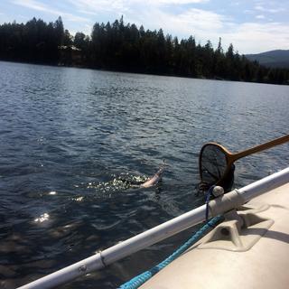 Spider Lake 2