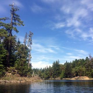 Spider Lake 3