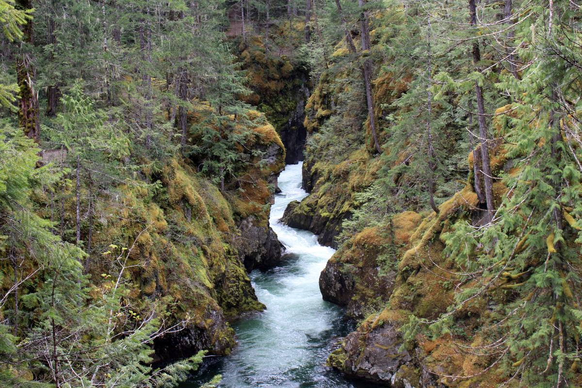 Little Qualicum Falls.