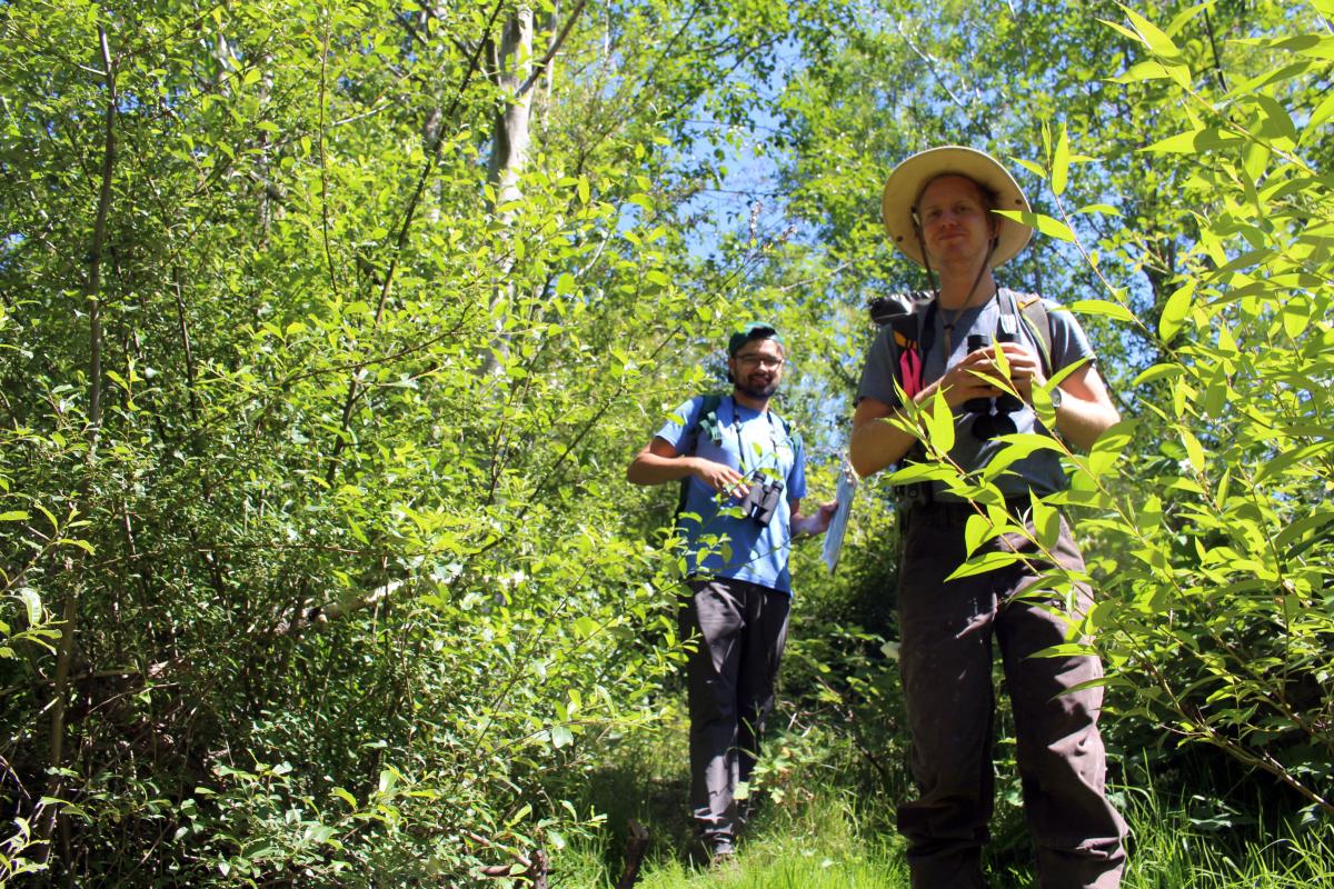 Alan Cavin and Brian Timmer search for birds and other fauna on the property.