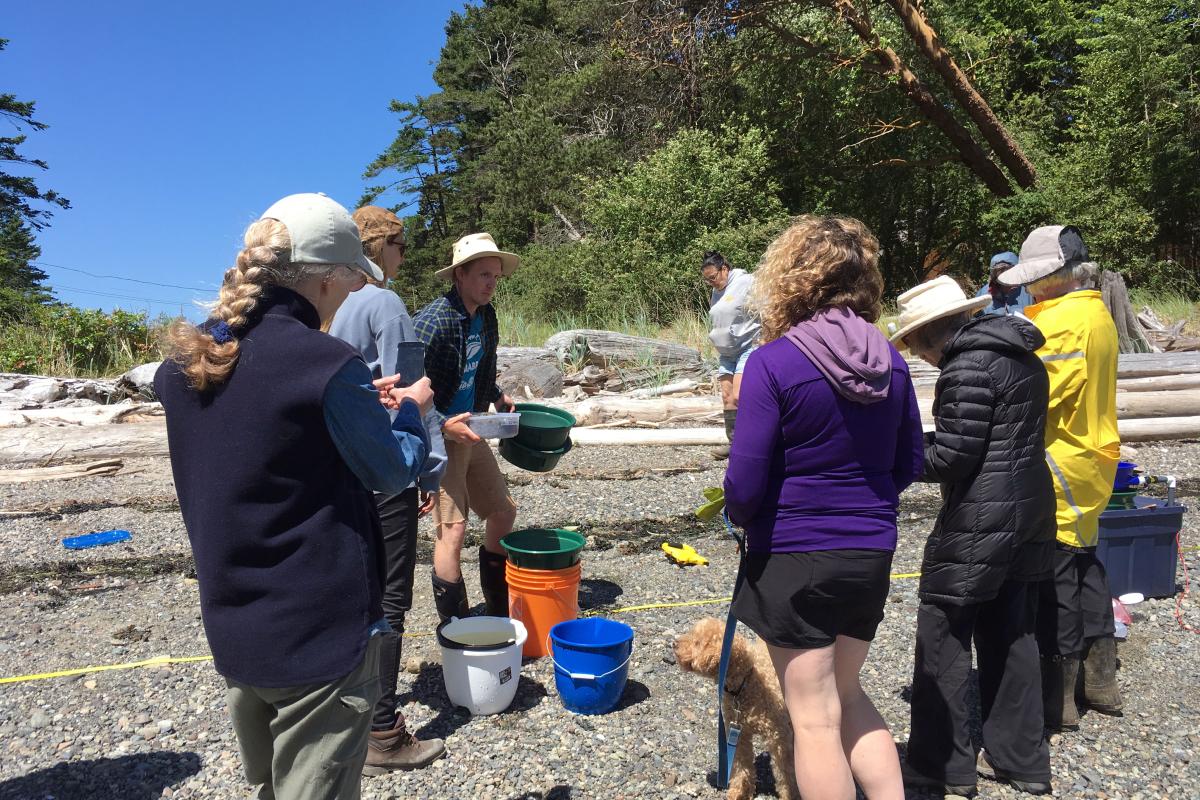 Brian Timmer and Chrissy Schellenberg help teach how to sample for forage fish eggs.