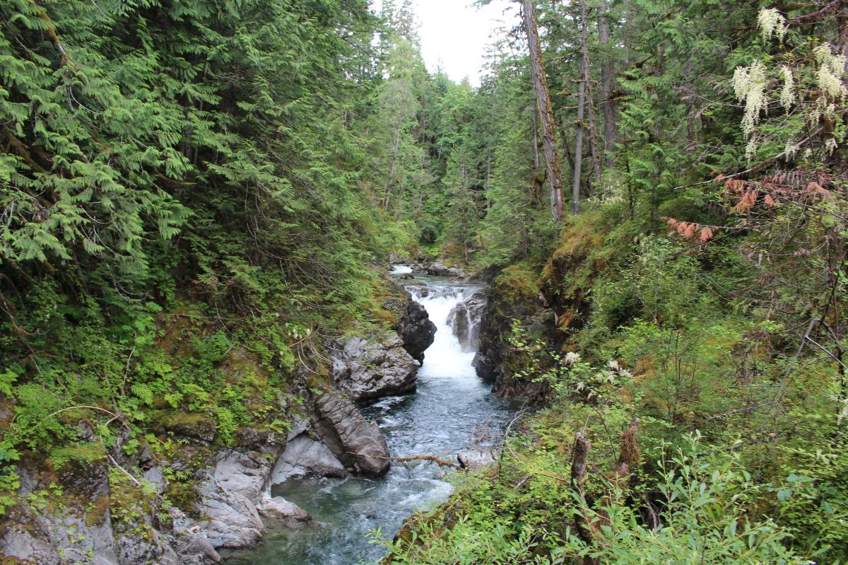 Little_Qualicum_Falls_MABR