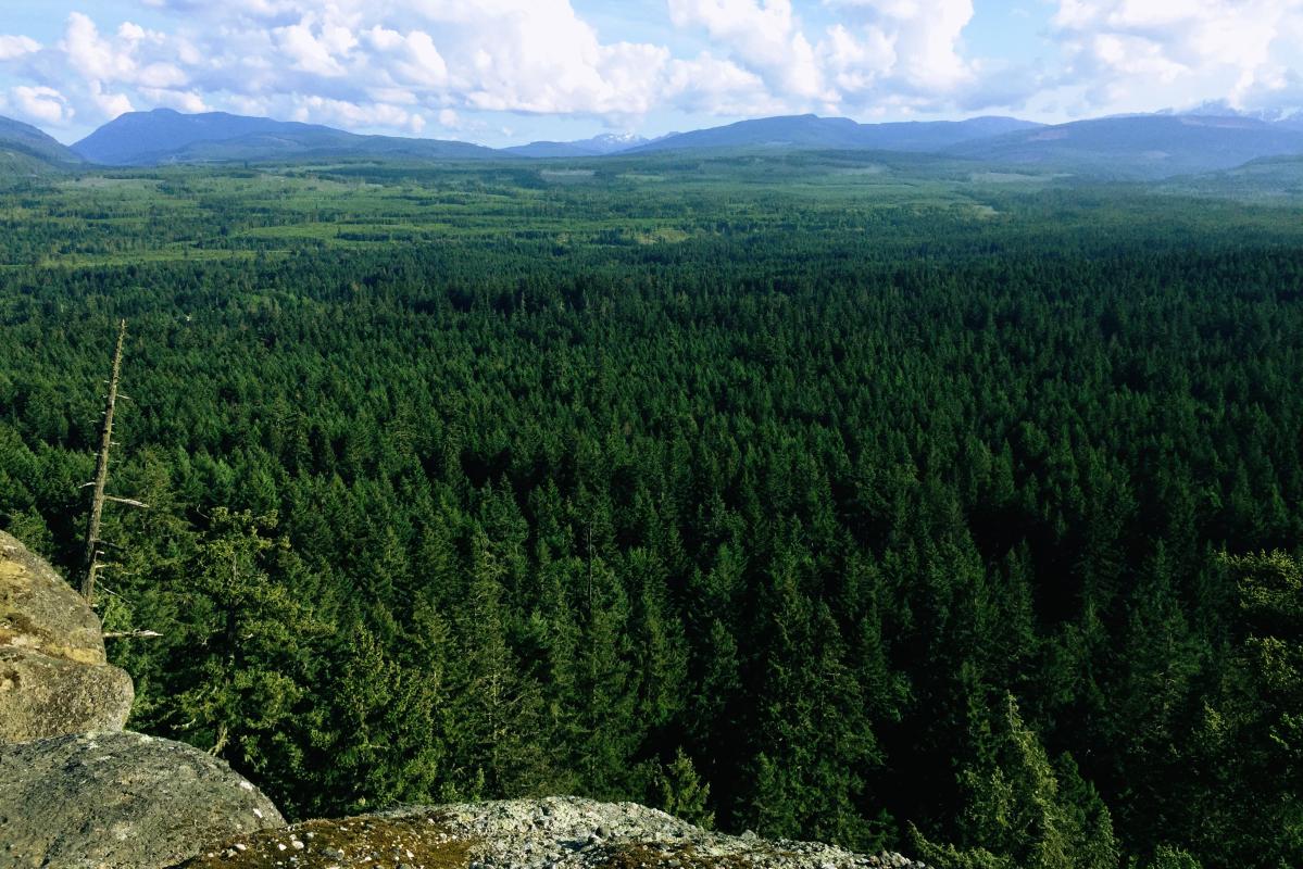 View from Little Mountain