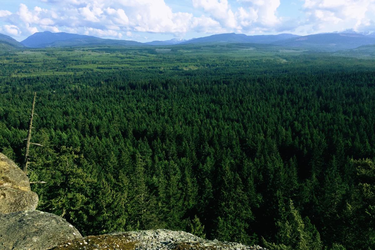 View from Little Mountain 