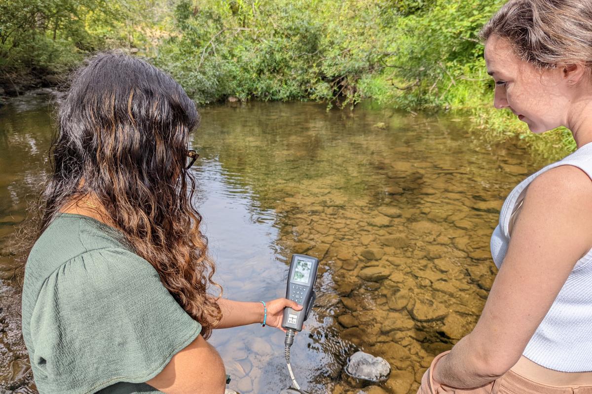 MABRRI Research Assistants checking water quality in stream