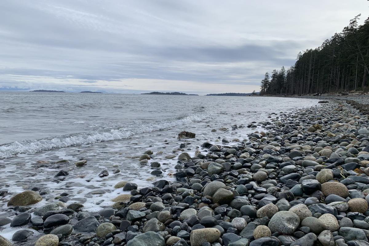 Rathtrevor Beach