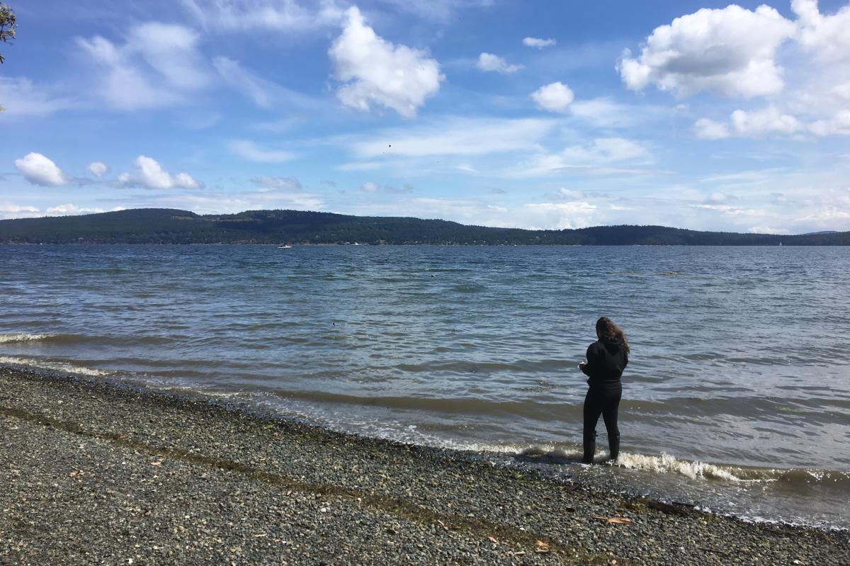 Forage-fish-sampling