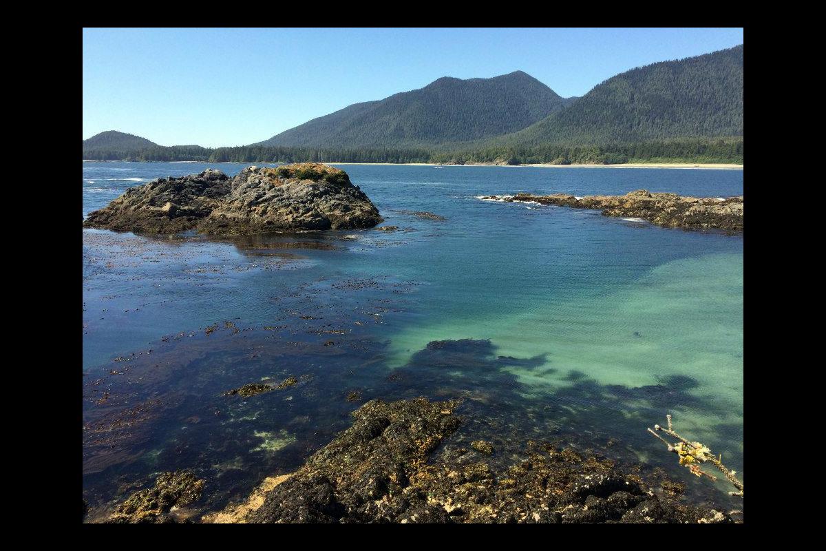 Walking the Wild Side in the Clayoquot Sound Biosphere Reserve 1