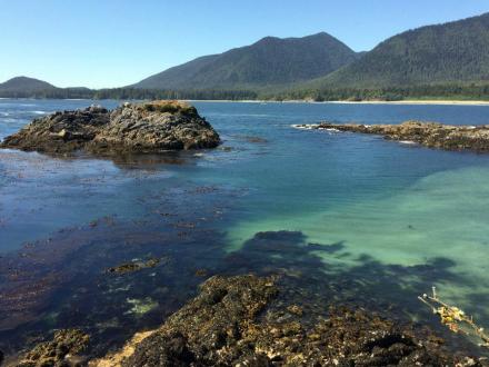 Walking the Wild Side in the Clayoquot Sound Biosphere Reserve 1