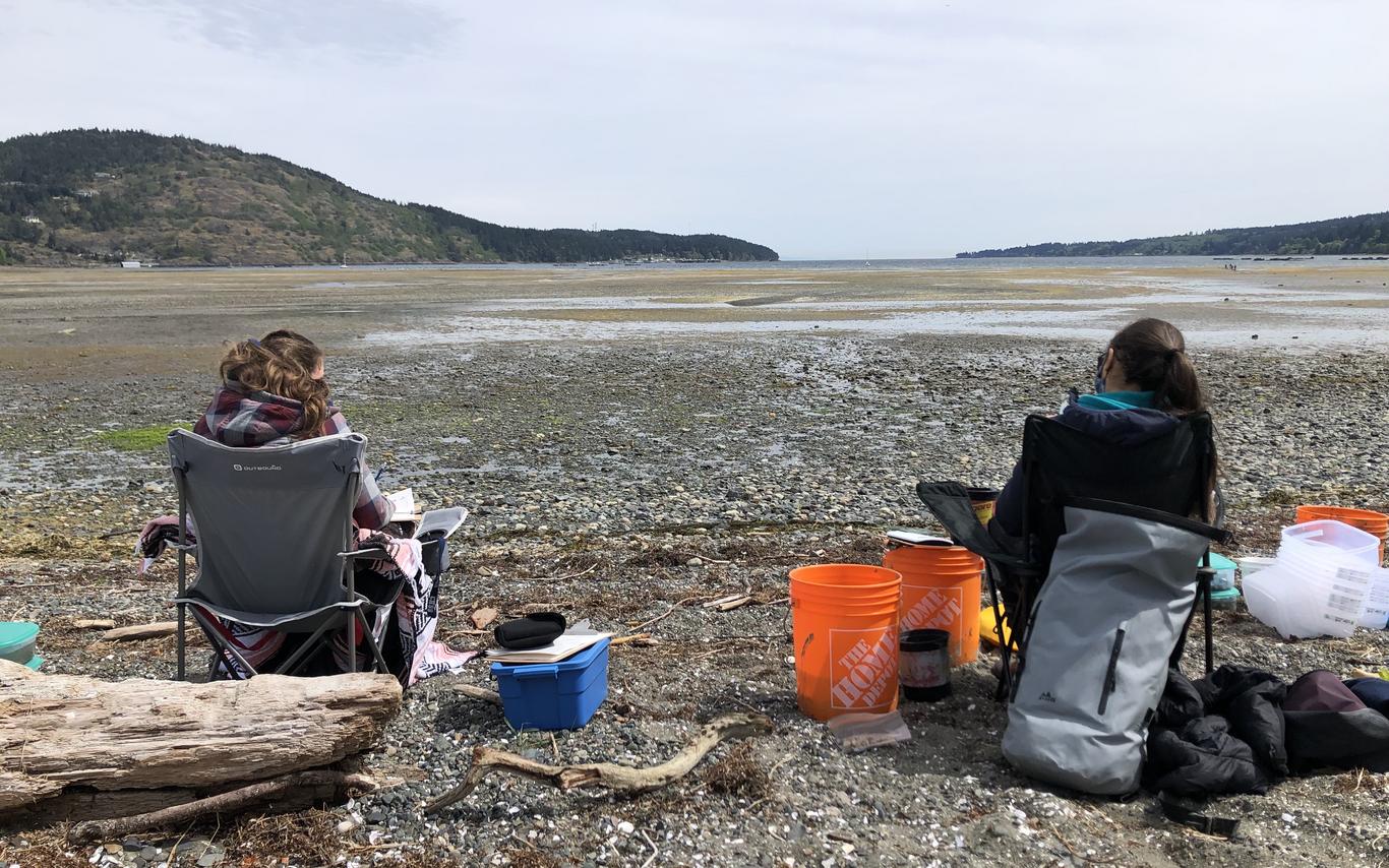Clam_monitoring