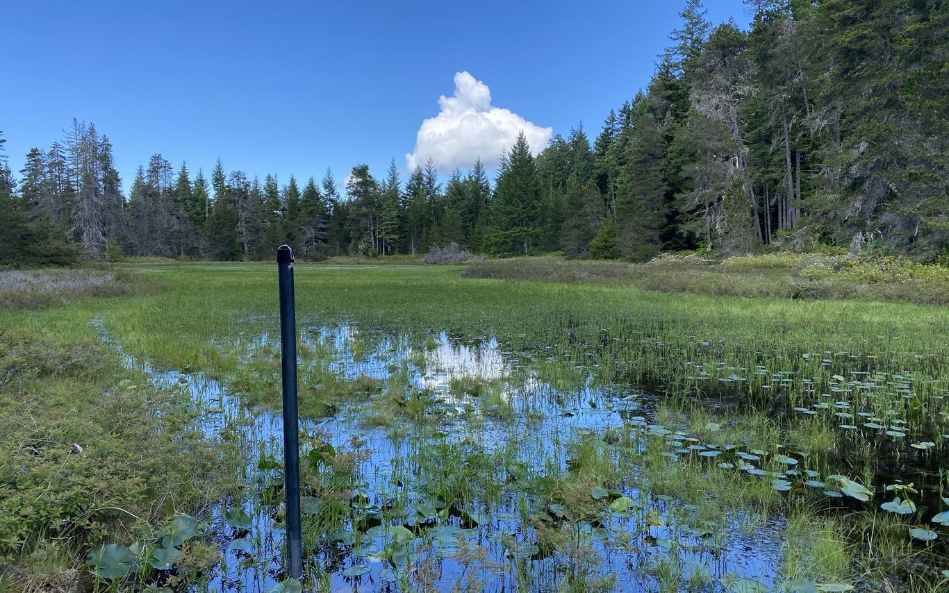 MABR_Wetlands