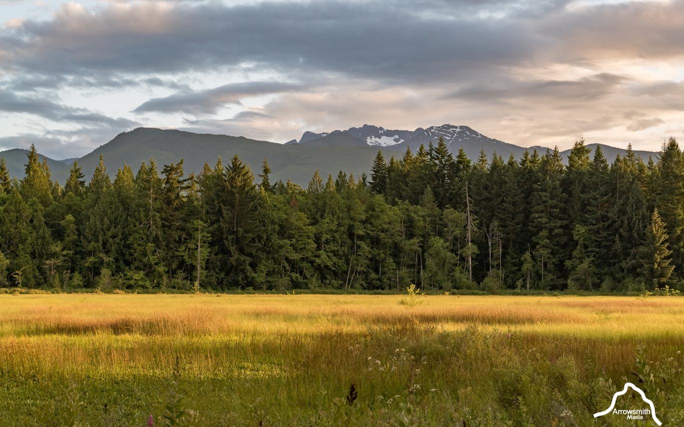 Mount_Arrowsmith