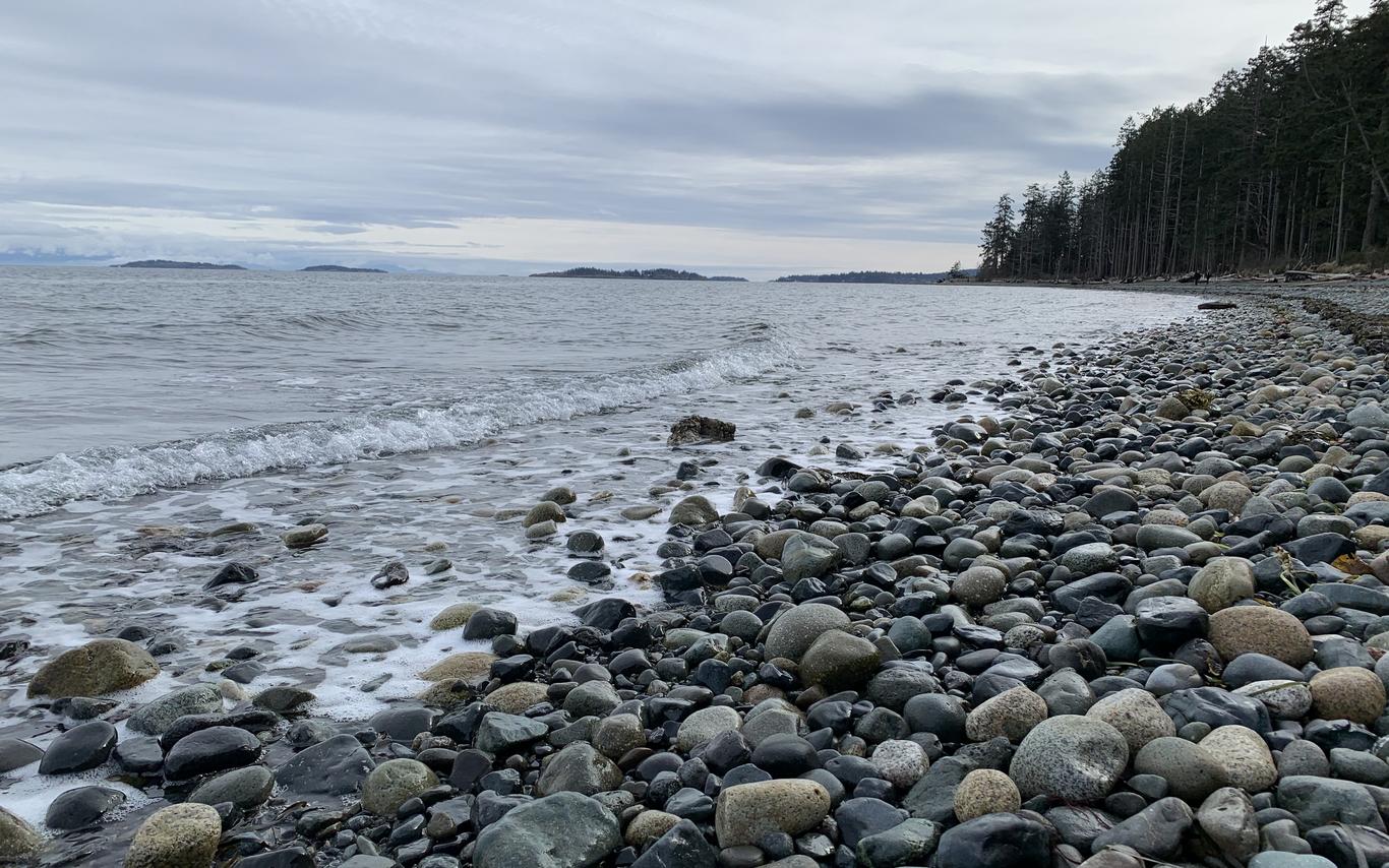 Rathtrevor Beach