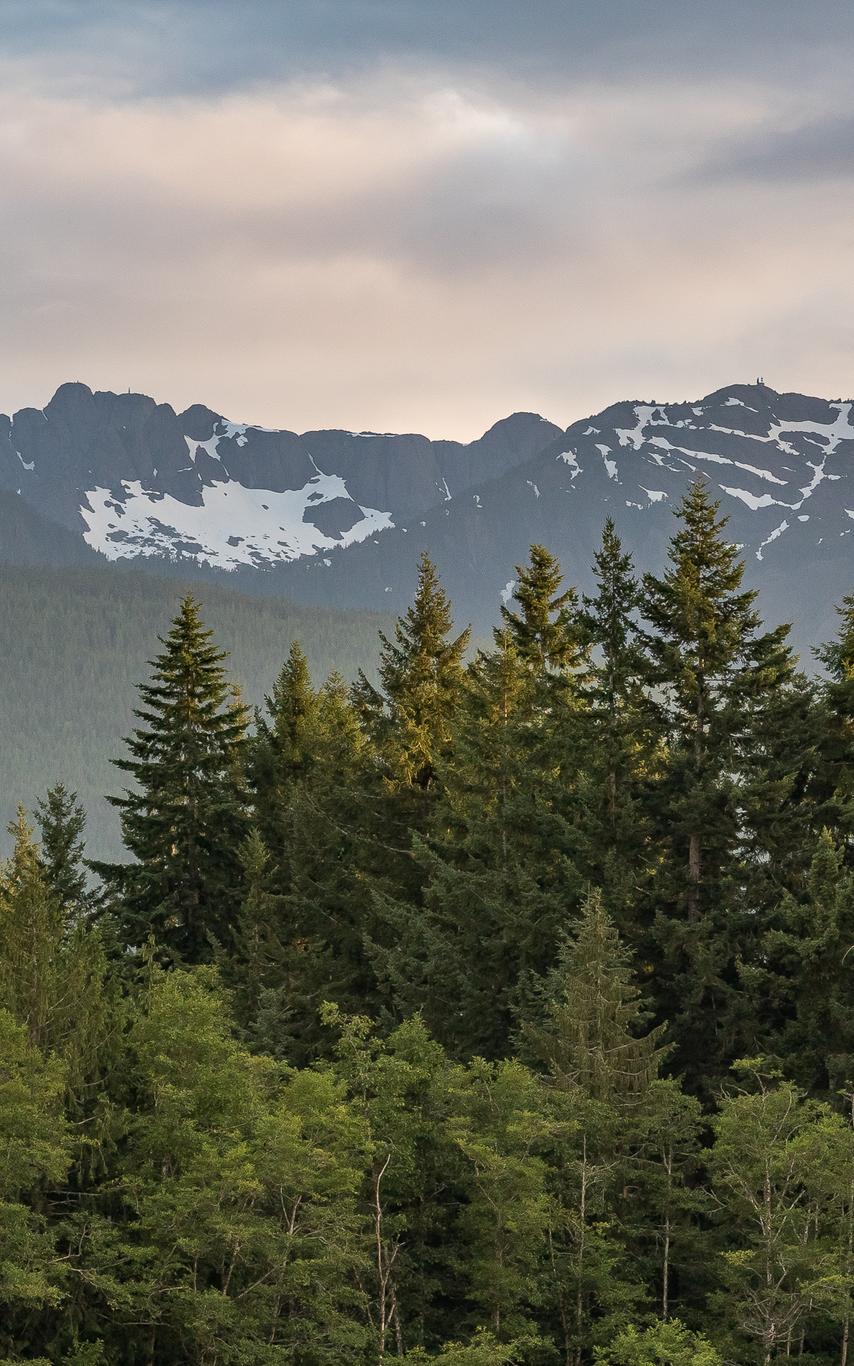 Arrowsmith mountain